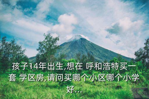 孩子14年出生,想在 呼和浩特买一套 学区房,请问买哪个小区哪个小学好...