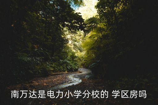 南万达是电力小学分校的 学区房吗