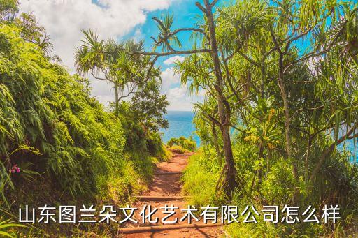 山东图兰朵文化艺术有限公司怎么样