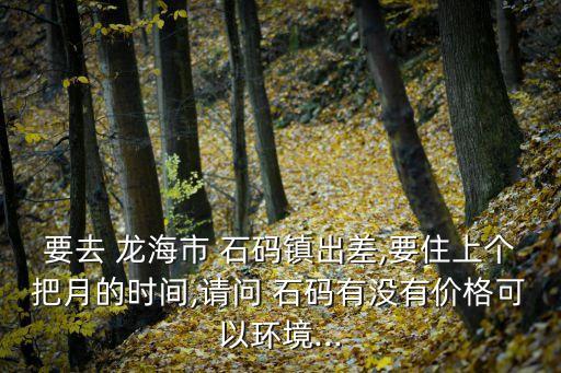 龙海石码学区房,莒南县龙海国际是学区房吗