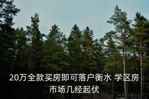 张家口学区房新房,买20年的学区房好还是新房好