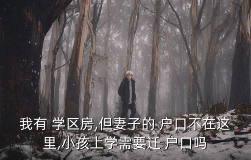 淮南学区房需要迁户口吗,驻马店学区房不迁户口可以上吗