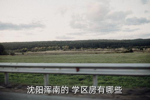 沈阳浑南的 学区房有哪些