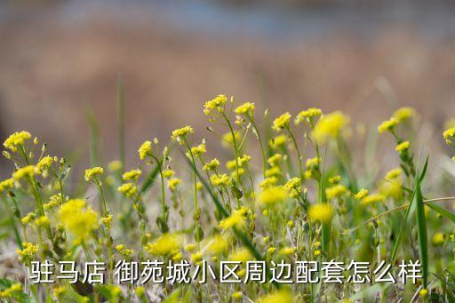 驻马店 御苑城小区周边配套怎么样