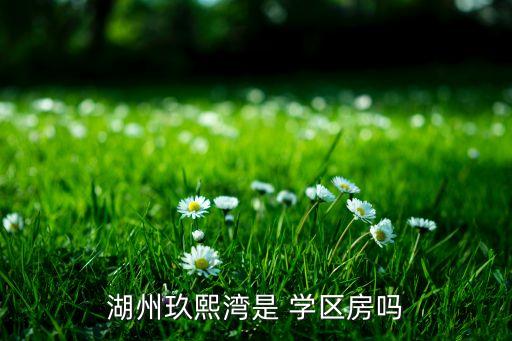 湖州玖熙湾是 学区房吗