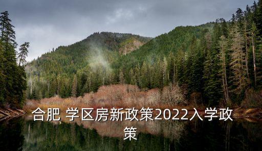  合肥 学区房新政策2022入学政策