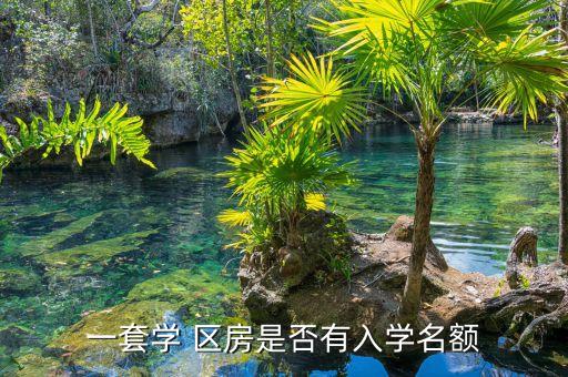 一套学 区房是否有入学名额