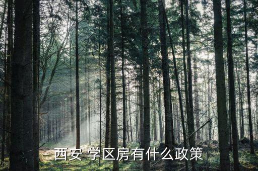 西安 学区房有什么政策