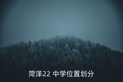 菏泽22 中学位置划分