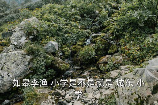 如皋李渔 小学是不是就是 城东 小学