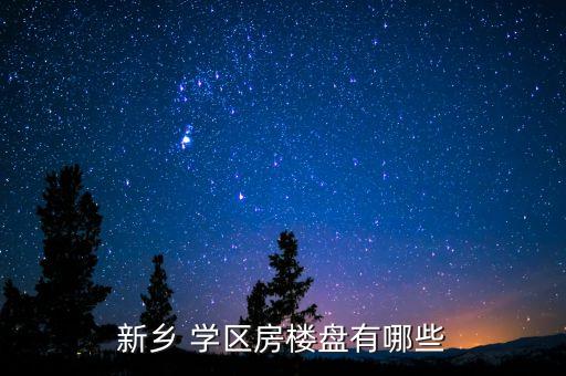 新乡 学区房楼盘有哪些