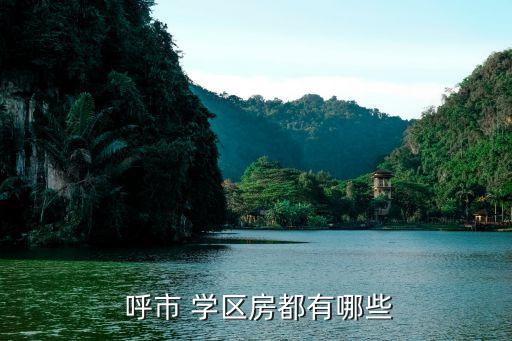  呼市 学区房都有哪些
