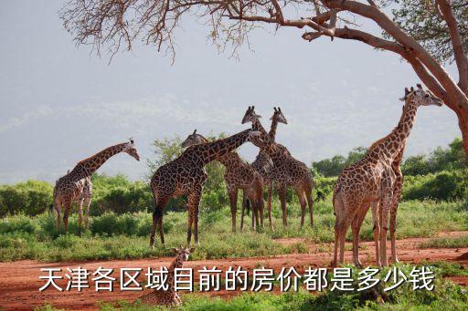  天津各区域目前的房价都是多少钱