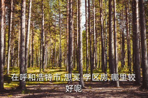 榆树学区房哪里的好,榆树一实验学区房地址