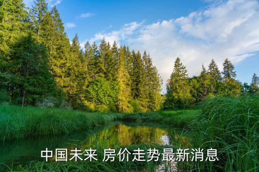 中国未来 房价走势最新消息