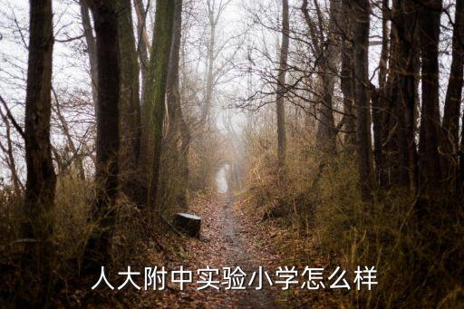  人大附中实验小学怎么样