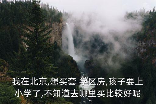 我在北京,想买套 学区房,孩子要上小学了,不知道去哪里买比较好呢