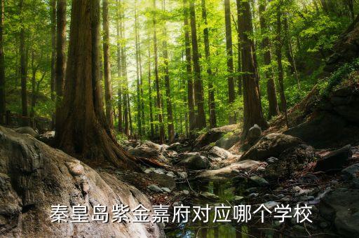 秦皇岛紫金嘉府对应哪个学校