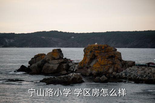 宁山路小学 学区房怎么样