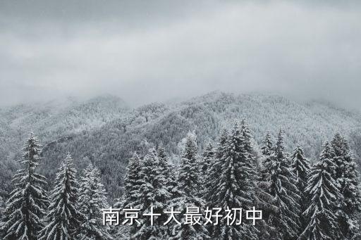 南京9中学区房,南京中学区房价格一览表2020