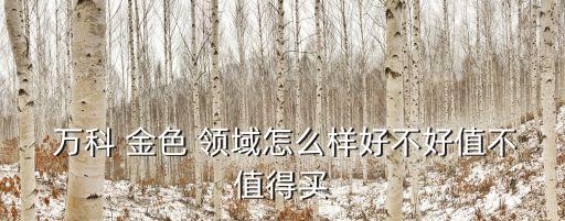  万科 金色 领域怎么样好不好值不值得买