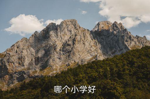 长沙县比较好的学区房,青岛比较好的学区房有哪些