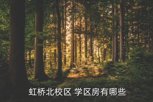  虹桥北校区 学区房有哪些