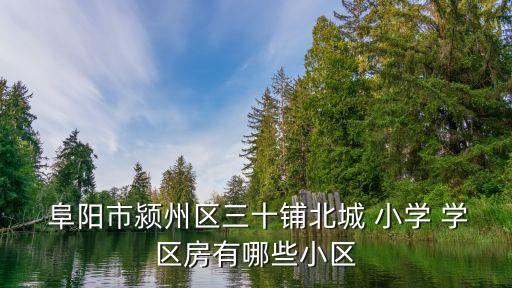 阜阳国际小学学区房,阜阳六里小学学区房都有哪几个小区