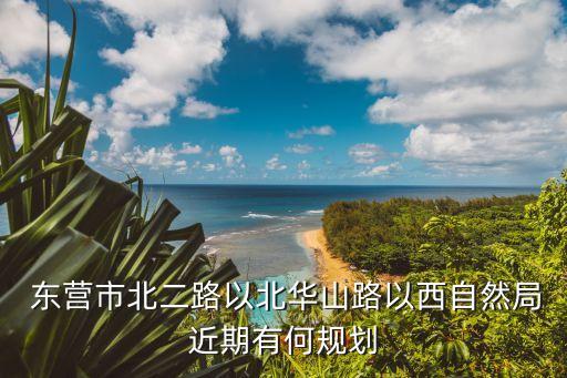  东营市北二路以北华山路以西自然局近期有何规划