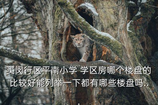 买闵行区平南小学 学区房哪个楼盘的比较好能列举一下都有哪些楼盘吗...