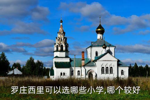 罗庄买学区房,罗庄二十一中学区房有哪些