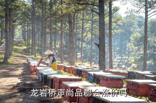  龙岩侨声尚品郡会涨价吗