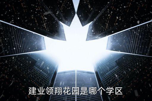 建业领翔花园是哪个学区