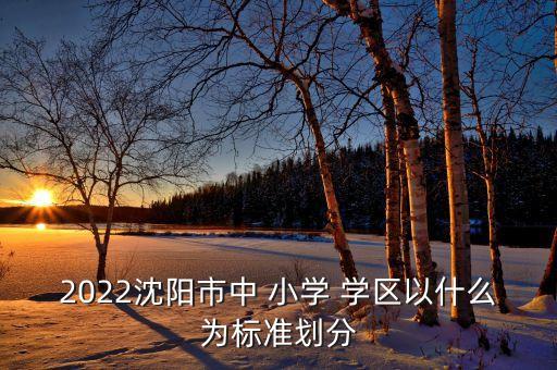 2022沈阳市中 小学 学区以什么为标准划分