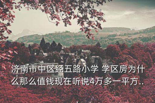 济南 学区房 房价排名,济南最好的学区房排名