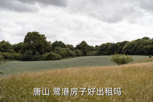  唐山 鹭港房子好出租吗
