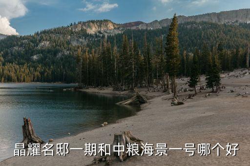  晶耀名邸一期和中粮海景一号哪个好