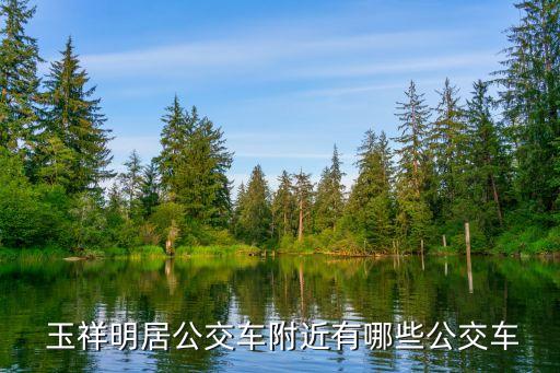 玉祥明居是学区房,沈阳玉祥明居学区房怎么样