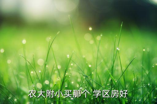农大附小买那个 学区房好