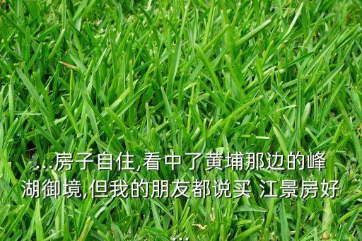 ...房子自住,看中了黄埔那边的峰湖御境,但我的朋友都说买 江景房好...