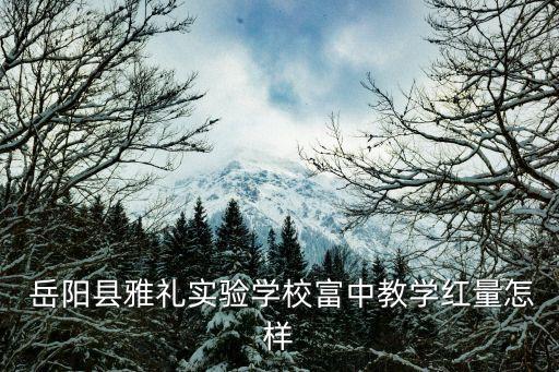  岳阳县雅礼实验学校富中教学红量怎样