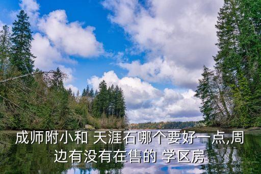 成师附小和 天涯石哪个要好一点,周边有没有在售的 学区房