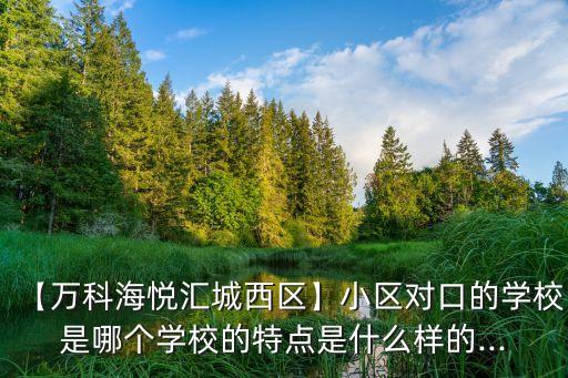 【万科海悦汇城西区】小区对口的学校是哪个学校的特点是什么样的...