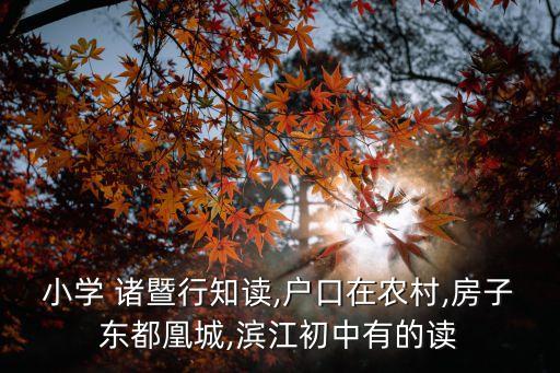 诸暨最便宜学区房,诸暨学区房划分2021小学