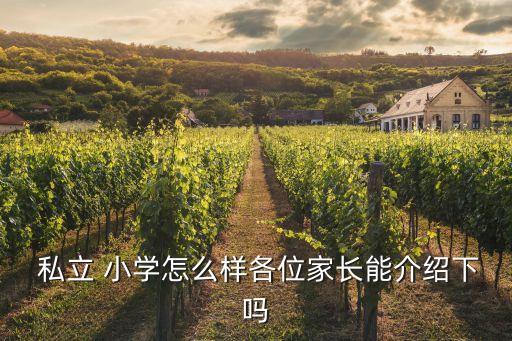 北京私立小学好还是学区房