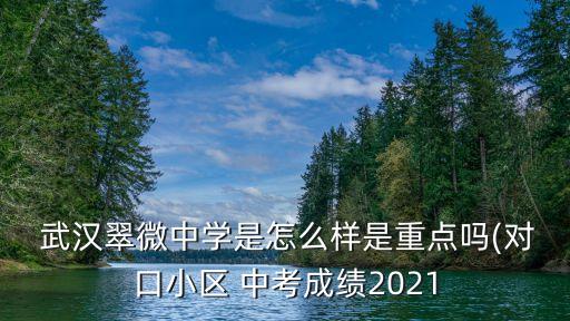  武汉翠微中学是怎么样是重点吗(对口小区 中考成绩2021
