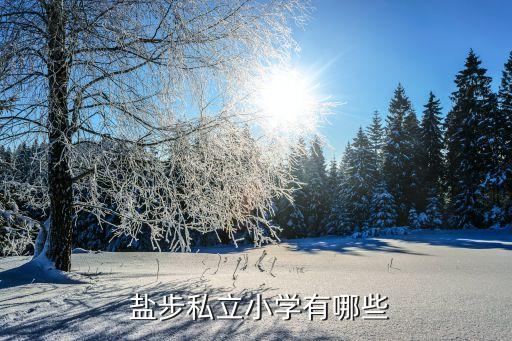  盐步私立小学有哪些