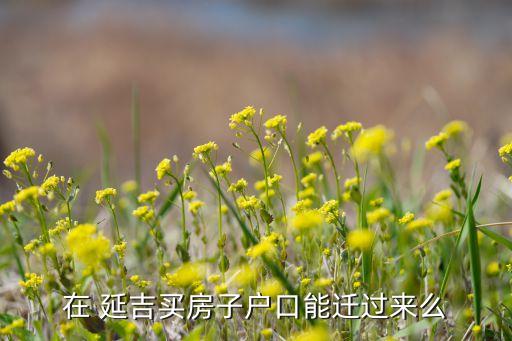 在 延吉买房子户口能迁过来么