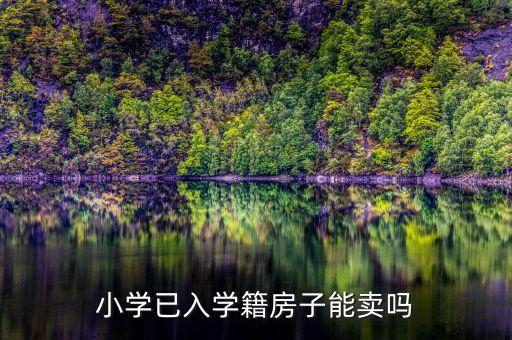 小学已入学籍房子能卖吗