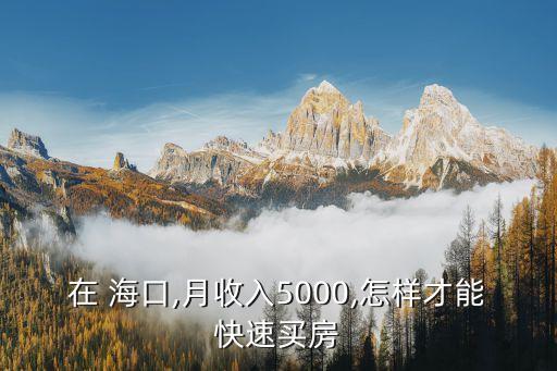 在 海口,月收入5000,怎样才能快速买房